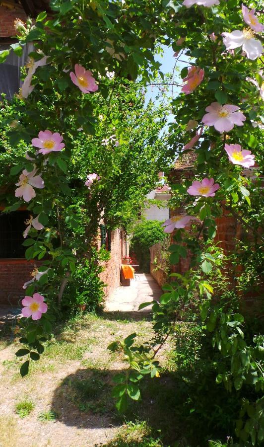 Agriturismo Olivazzi Quattordio Eksteriør billede