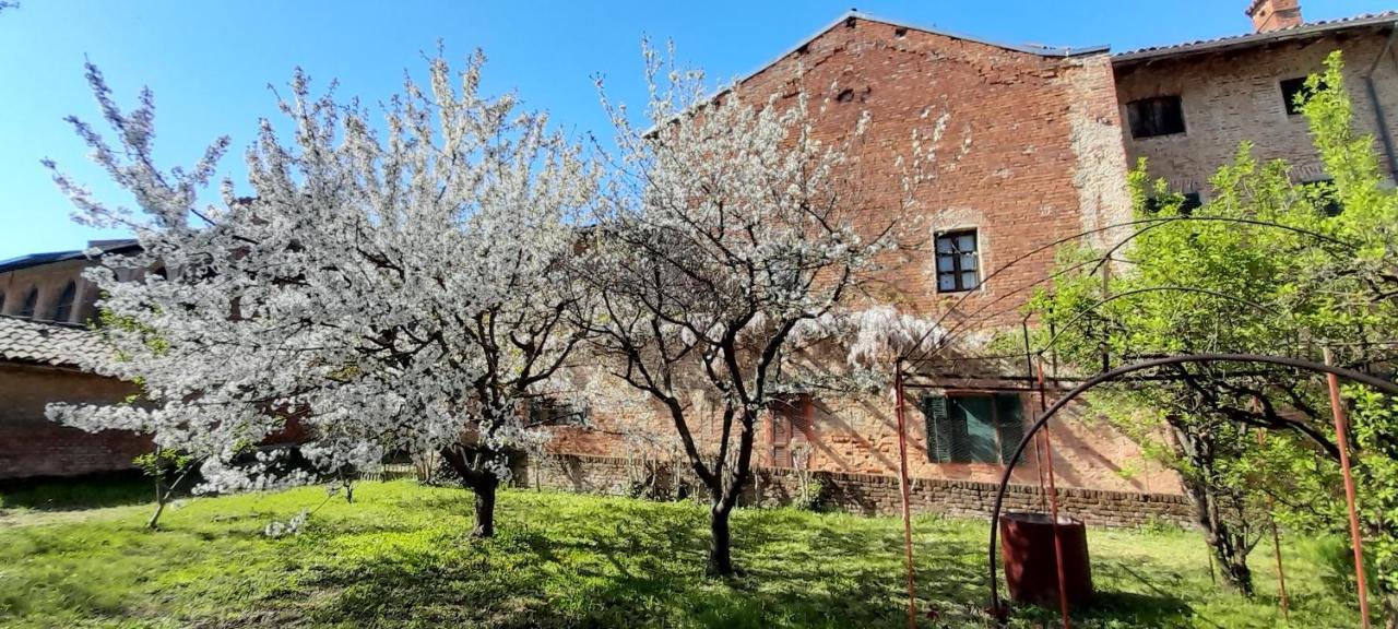 Agriturismo Olivazzi Quattordio Eksteriør billede